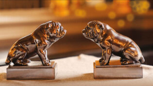 Voting opens for 2024 Televisual Bulldog Awards